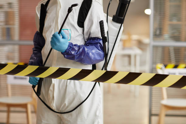 Professional Sewage Cleanup technician working in Santa Maria, CA